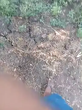 HeatableRevan webcam