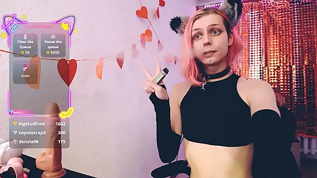 Littlepinkcat webcam