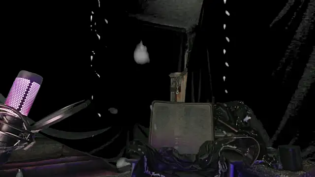 MasterDaddyCool webcam