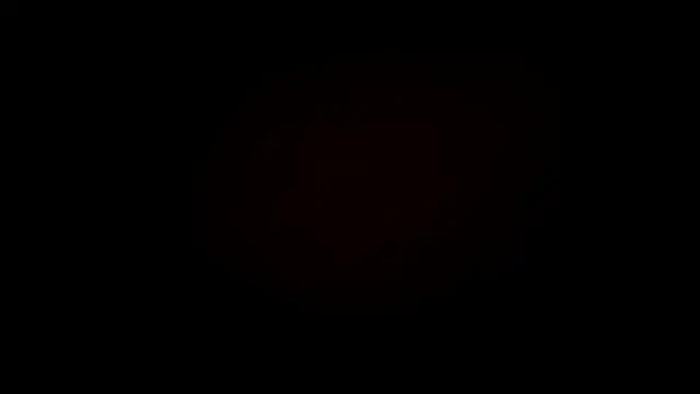 RegenaLandauer webcam