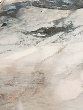 Fearless_Fighter webcam