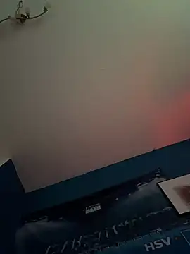 GeilerHSVFAN1989 webcam