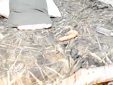 Savannah_Cock webcam