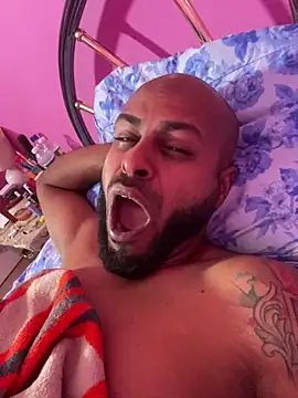 islandvybee55 webcam