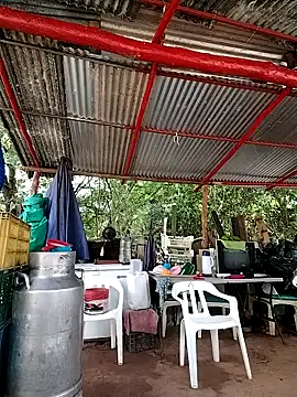 Brenda_Berck_ webcam