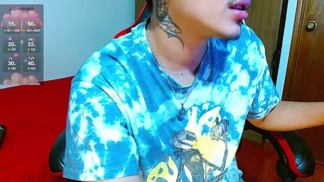 Hgp3riodictabl3 webcam