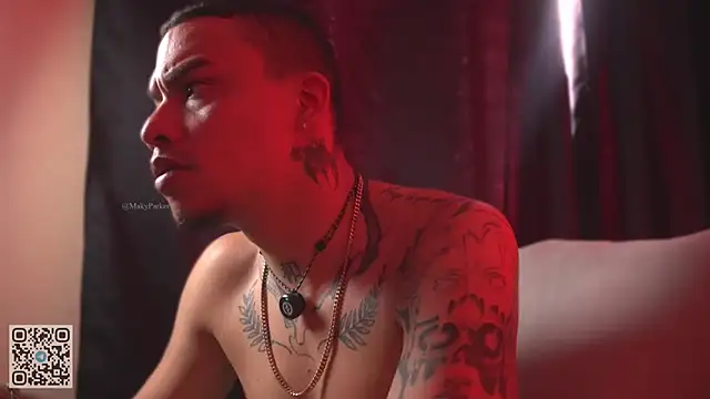 AlphaMasterXxx webcam