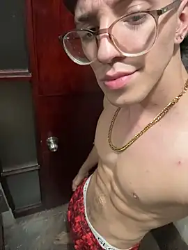 ArthurDavies_ webcam