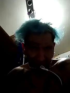 destroassbig2 webcam