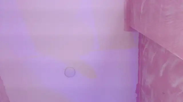 Emily_Brookss_ webcam