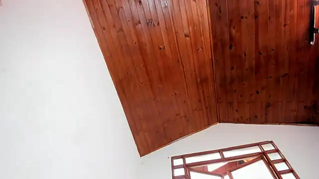 oliver_price1 webcam