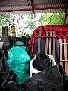 Brenda_Berck_ webcam