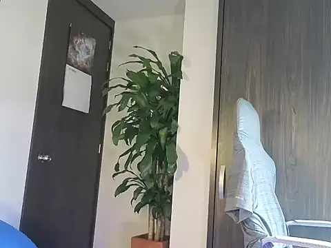 Wheeler_Green webcam