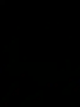 blablablackbi webcam