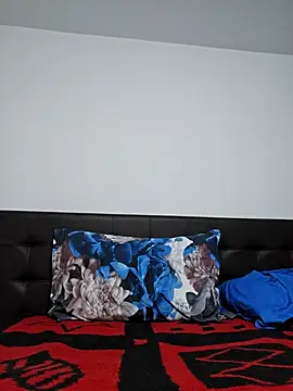 IsabelleCraft webcam