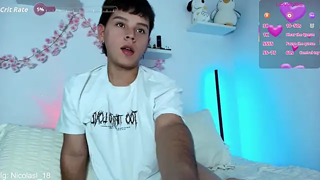 nico_leroy webcam