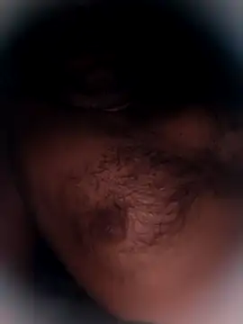 Bengal_Tiger420 webcam