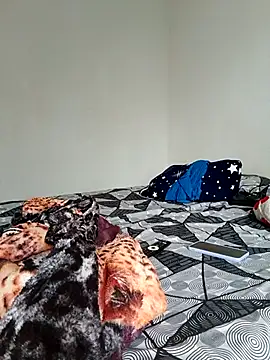 LEIRIS_Y_FRED_01 webcam