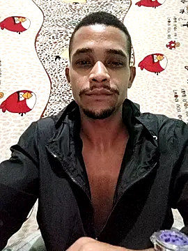 LATREL22ctmtrs webcam