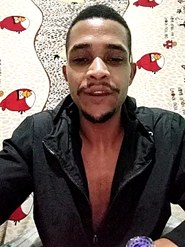 LATREL22ctmtrs webcam