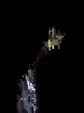 Sinewsex_pussylove webcam