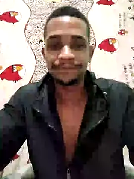 LATREL22ctmtrs webcam