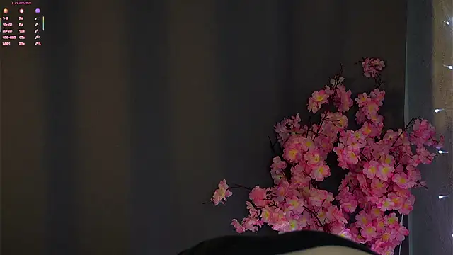 VernonGarcias webcam