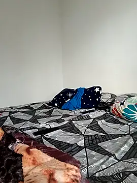 LEIRIS_Y_FRED_01 webcam