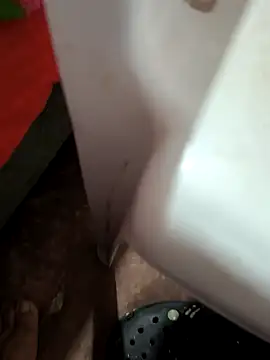 Agricultor1984 webcam