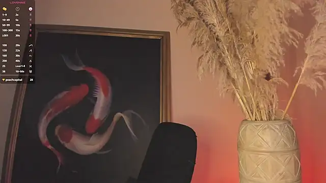 Jason_Harden1 webcam