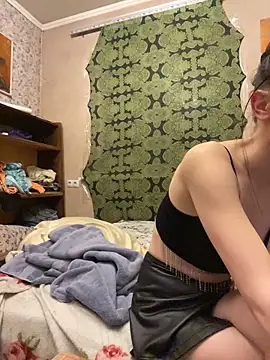 Sierra_Driver webcam