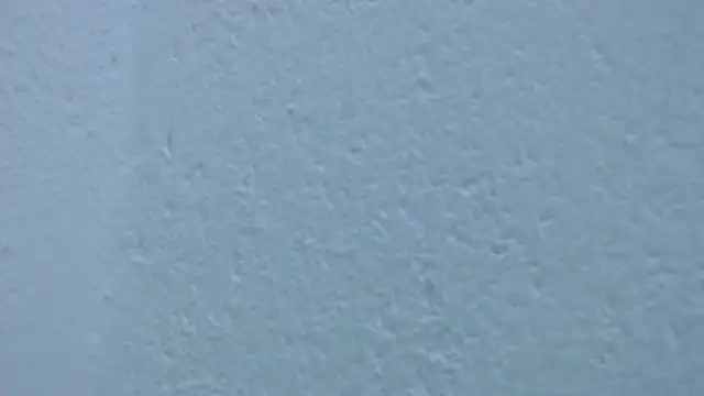 carolina_zabala_19 webcam