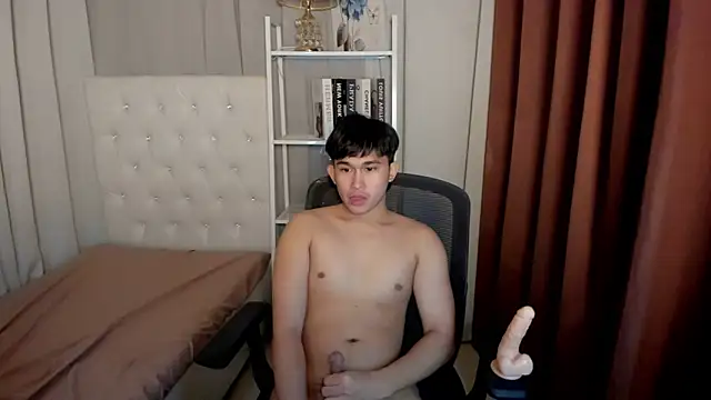 davincihugecock webcam