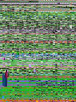 riya_sharma11 webcam