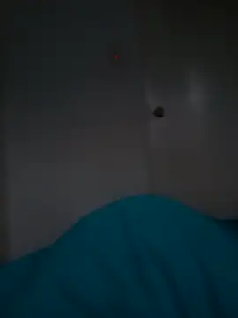 FinishedClucking webcam