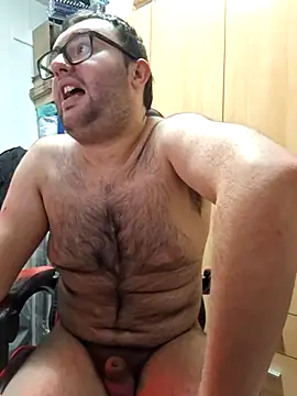 Javier_bear webcam