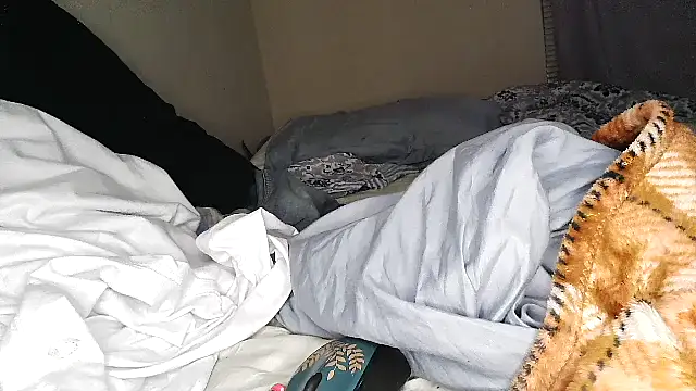 RinsingWood84 webcam