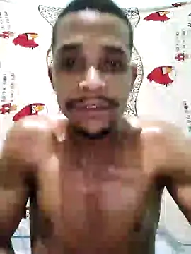 LATREL22ctmtrs webcam