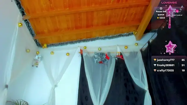 esteveen_ortegas_ webcam