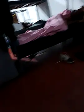 MonasticCanine webcam