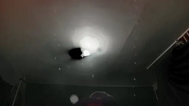 MasterDaddyCool webcam