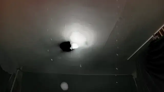 MasterDaddyCool webcam