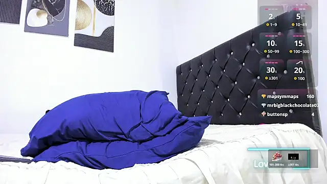 Sebastian-Dash webcam