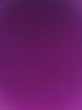 gaysexfun_123 webcam