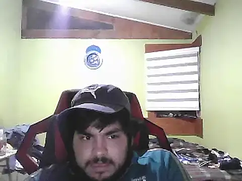 SpritzedManakin webcam