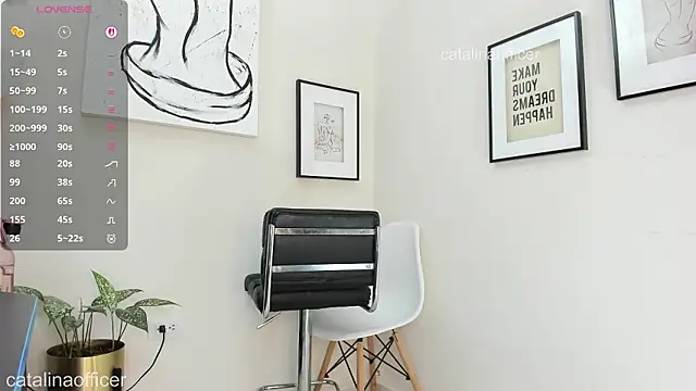 catalinaofficer webcam