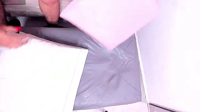 royaldestruction2-0 webcam