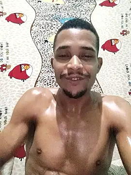 LATREL22ctmtrs webcam