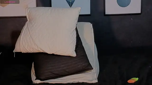 Dylanwhite23_ webcam