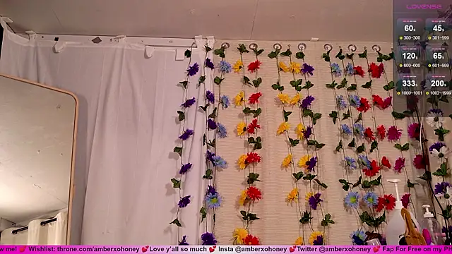 amberxoxhoney webcam